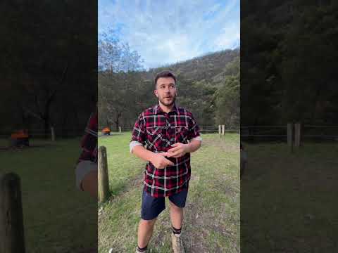 James sharing his first-hand experience of working with Brodie